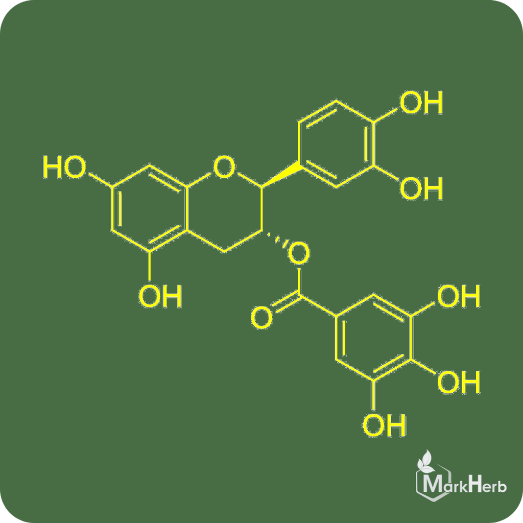 Catechin Gallate