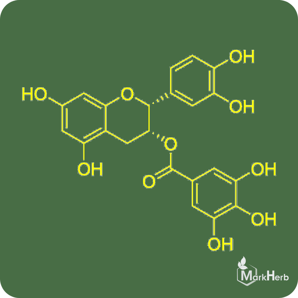 Epicatechin Gallate