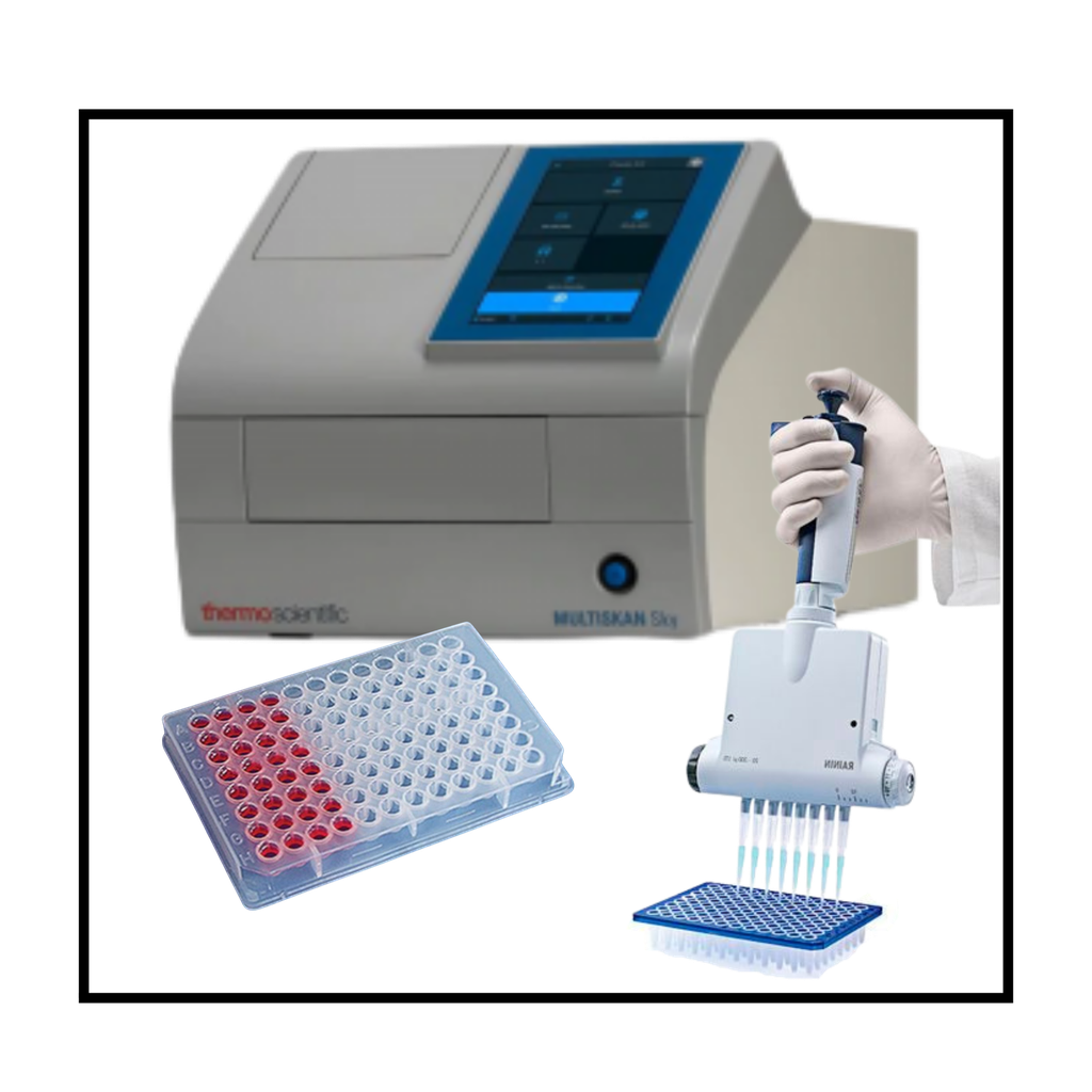 Antioxidants In Vitro Test