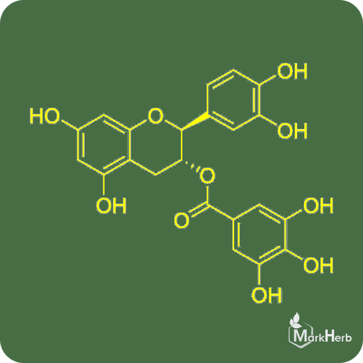 Catechin Gallate