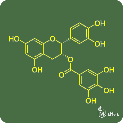 Epicatechin Gallate