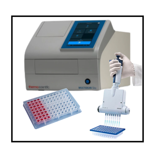 Antioxidants In Vitro Test